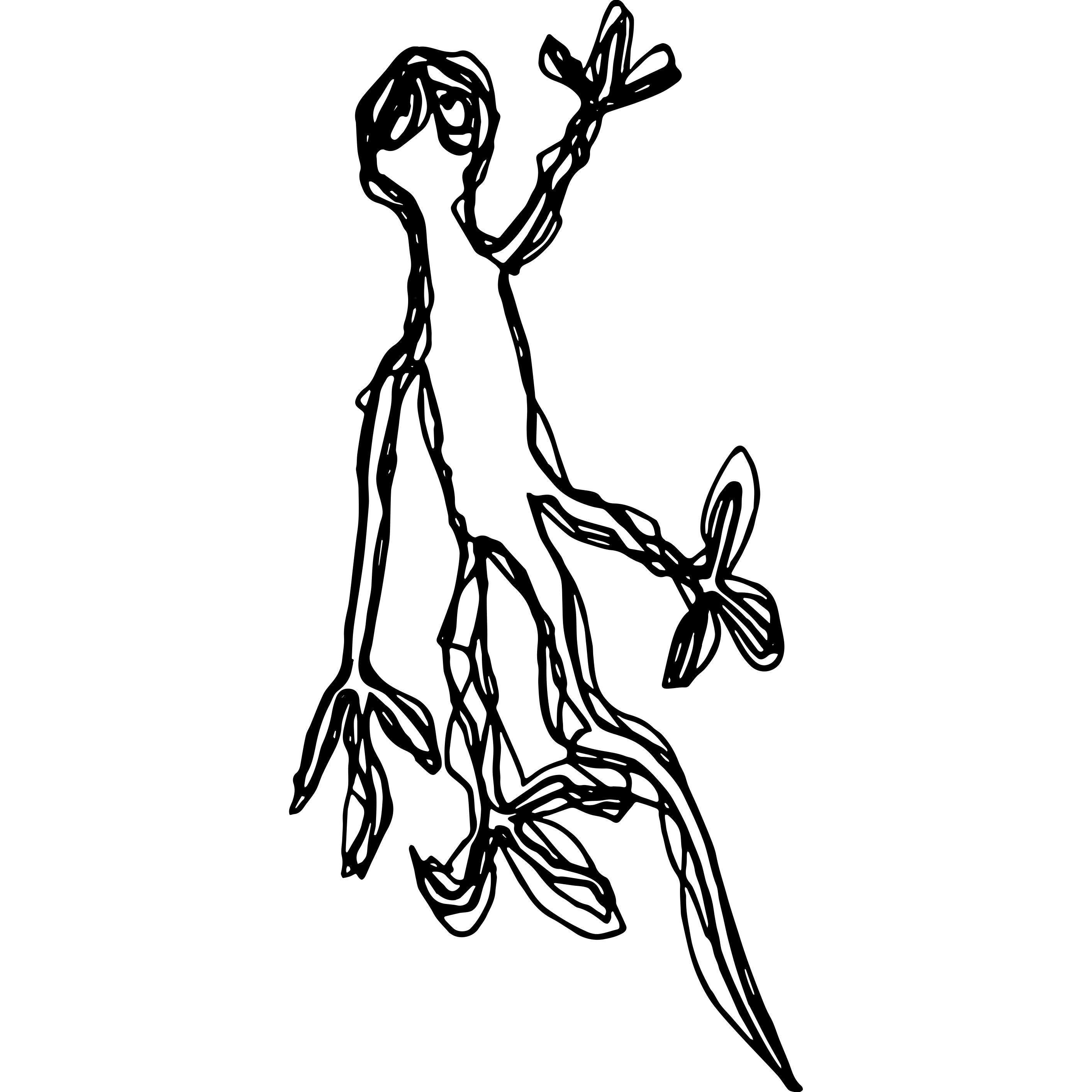 geko